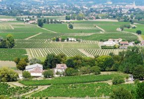 2-route-des-vins-bergerac